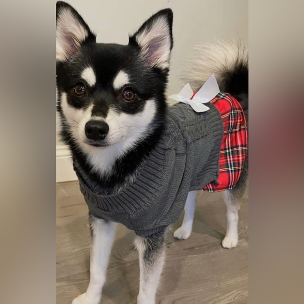 Holiday Dog Sweater